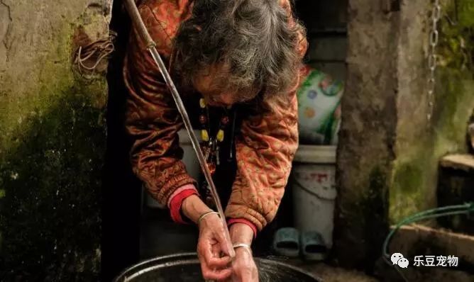 五十岁老人撑起几百只流浪动物的家，她比很多人都值得被尊重……-7.jpeg