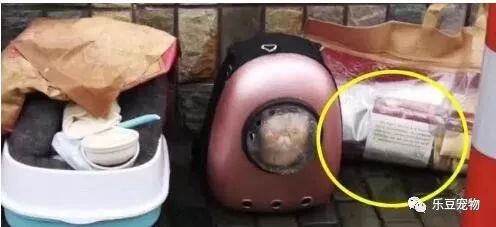 它曾经是你发誓要照顾的宝贝，如今却随手扔掉了！-2.jpeg