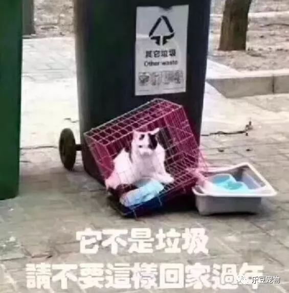 它曾经是你发誓要照顾的宝贝，如今却随手扔掉了！-6.jpeg