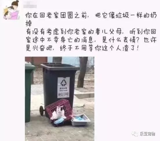 它曾经是你发誓要照顾的宝贝，如今却随手扔掉了！-4.jpeg