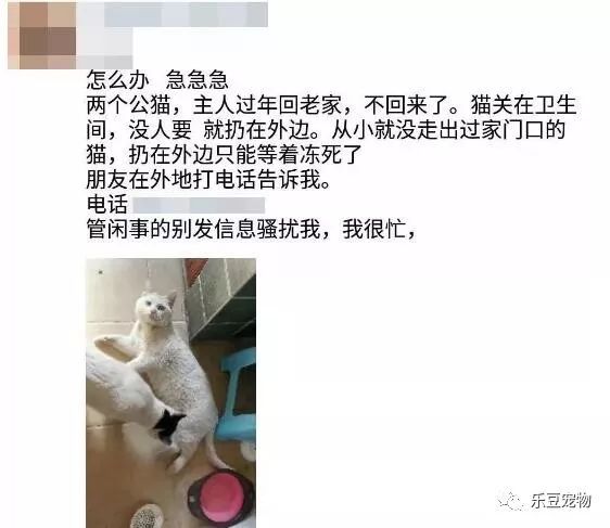 它曾经是你发誓要照顾的宝贝，如今却随手扔掉了！-5.jpeg