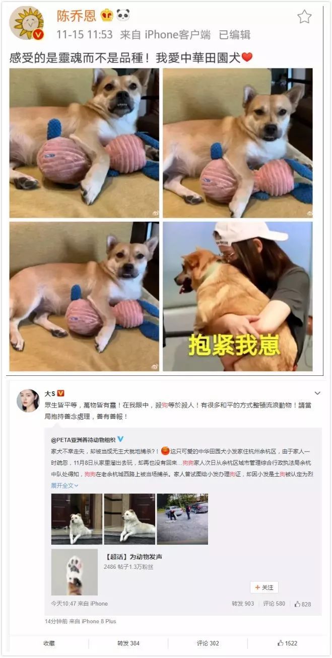 假如我是一只土狗，还会得到你的爱吗？-17.jpeg