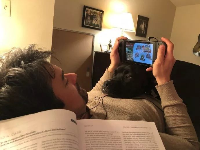 牧羊犬为保护羊群遇袭，小羊温柔靠近：谢谢你……-11.jpeg