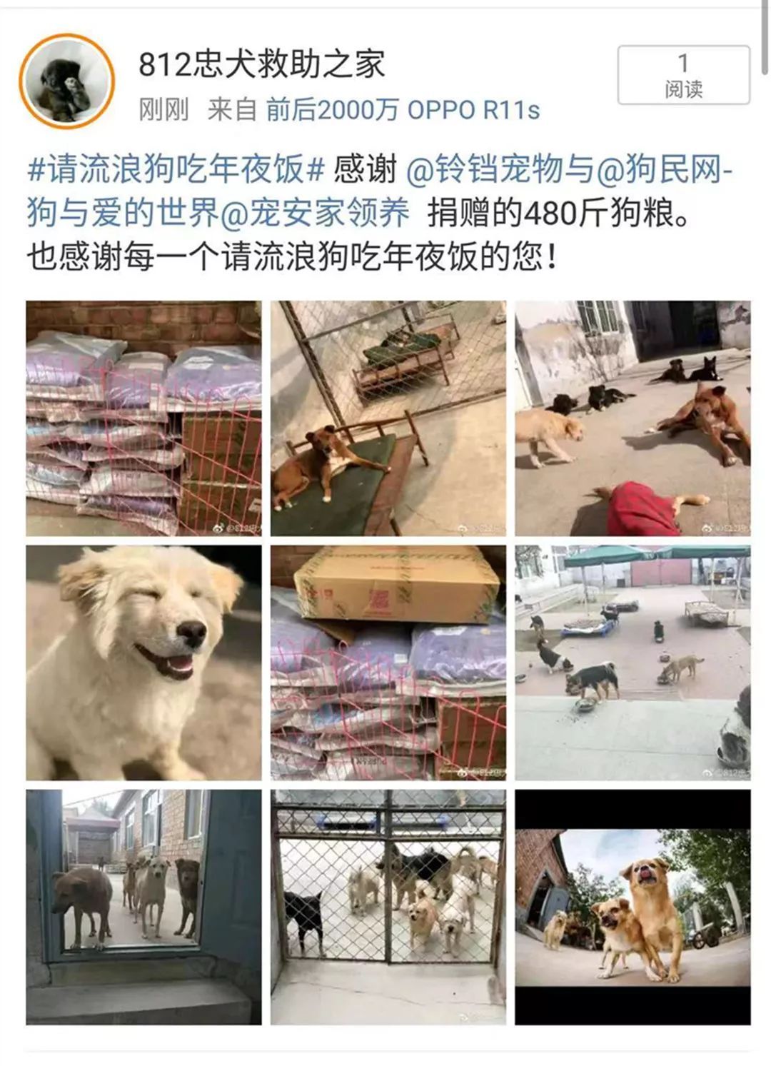 狗年的最后一天，请它吃一顿年夜饭。-1.jpeg