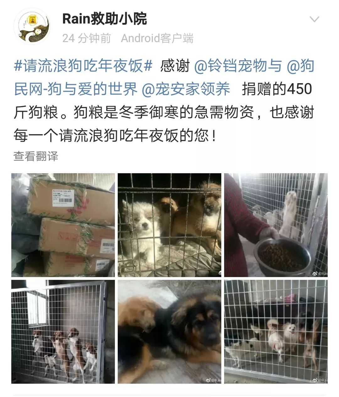 狗年的最后一天，请它吃一顿年夜饭。-2.jpeg