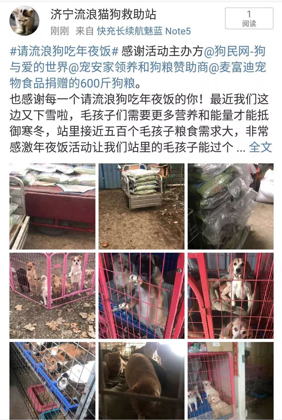 狗年的最后一天，请它吃一顿年夜饭。-3.jpeg