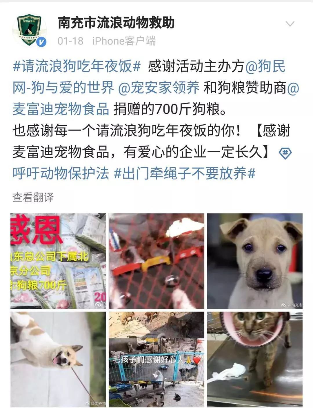 狗年的最后一天，请它吃一顿年夜饭。-6.jpeg