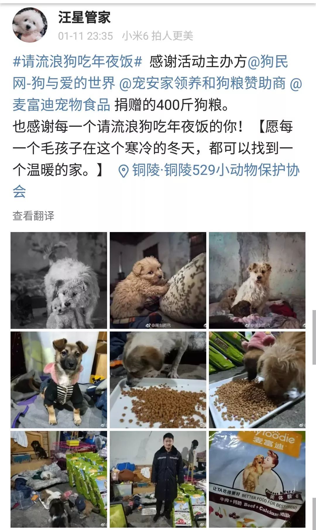 狗年的最后一天，请它吃一顿年夜饭。-8.jpeg