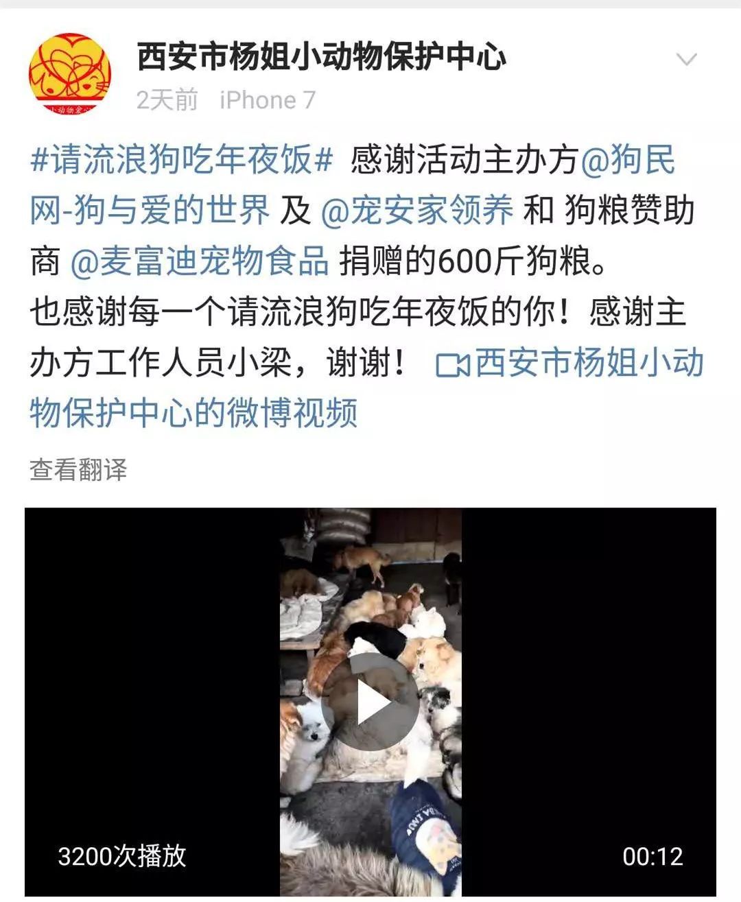 狗年的最后一天，请它吃一顿年夜饭。-9.jpeg