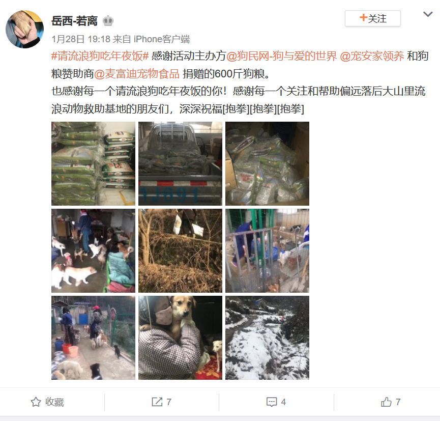 狗年的最后一天，请它吃一顿年夜饭。-14.jpeg