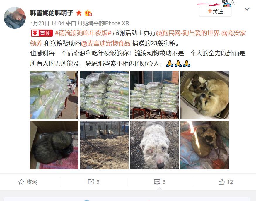 狗年的最后一天，请它吃一顿年夜饭。-12.jpeg