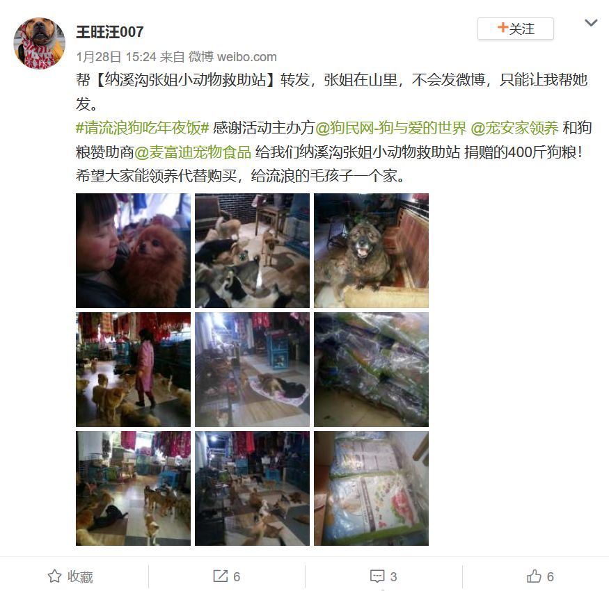 狗年的最后一天，请它吃一顿年夜饭。-15.jpeg