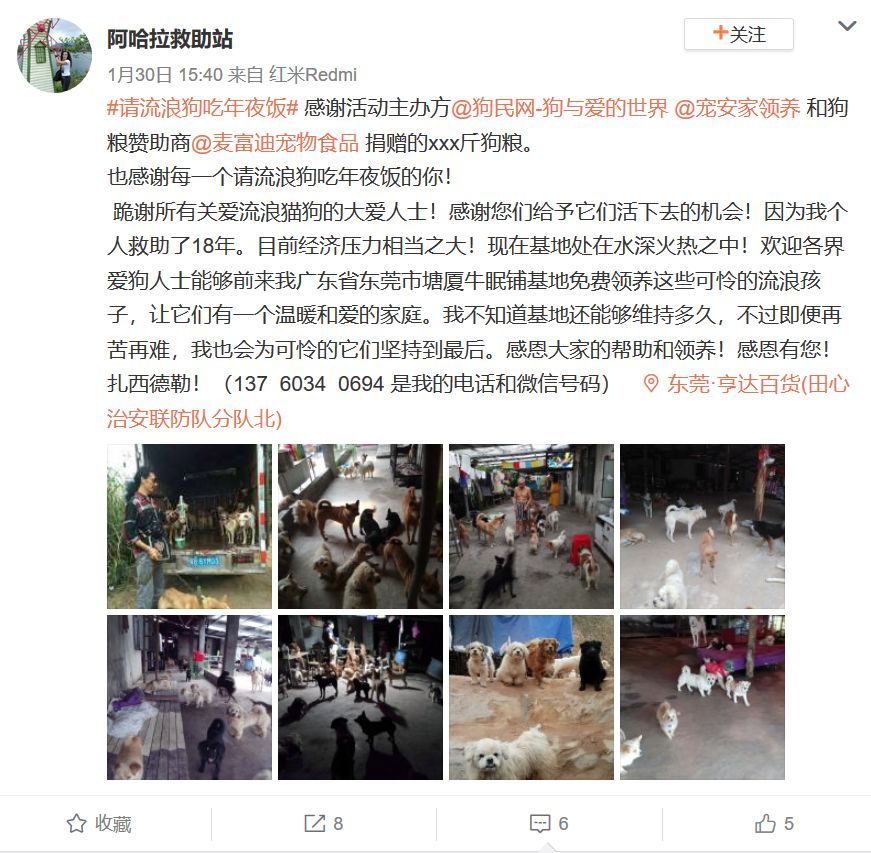 狗年的最后一天，请它吃一顿年夜饭。-19.jpeg