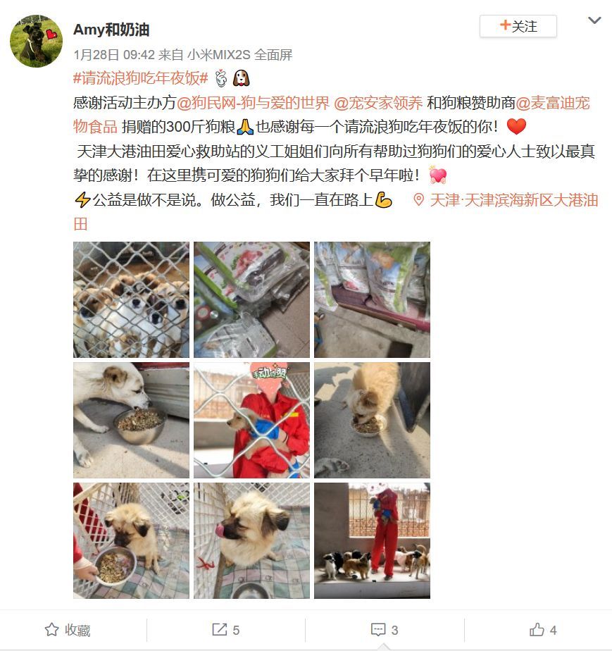 狗年的最后一天，请它吃一顿年夜饭。-16.jpeg