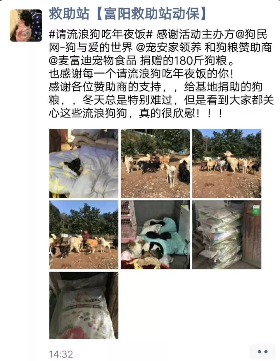 狗年的最后一天，请它吃一顿年夜饭。-20.jpeg