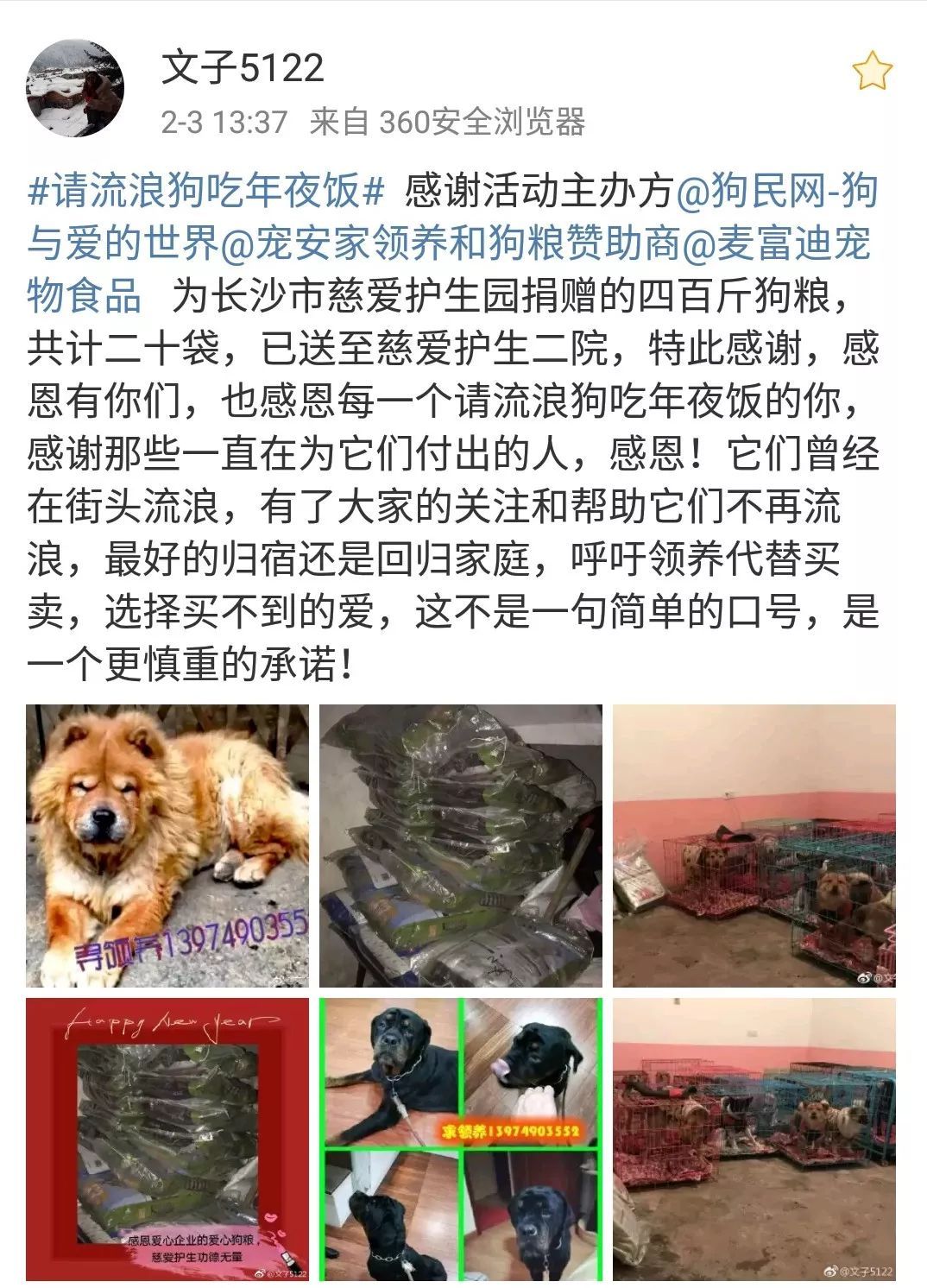 狗年的最后一天，请它吃一顿年夜饭。-22.jpeg