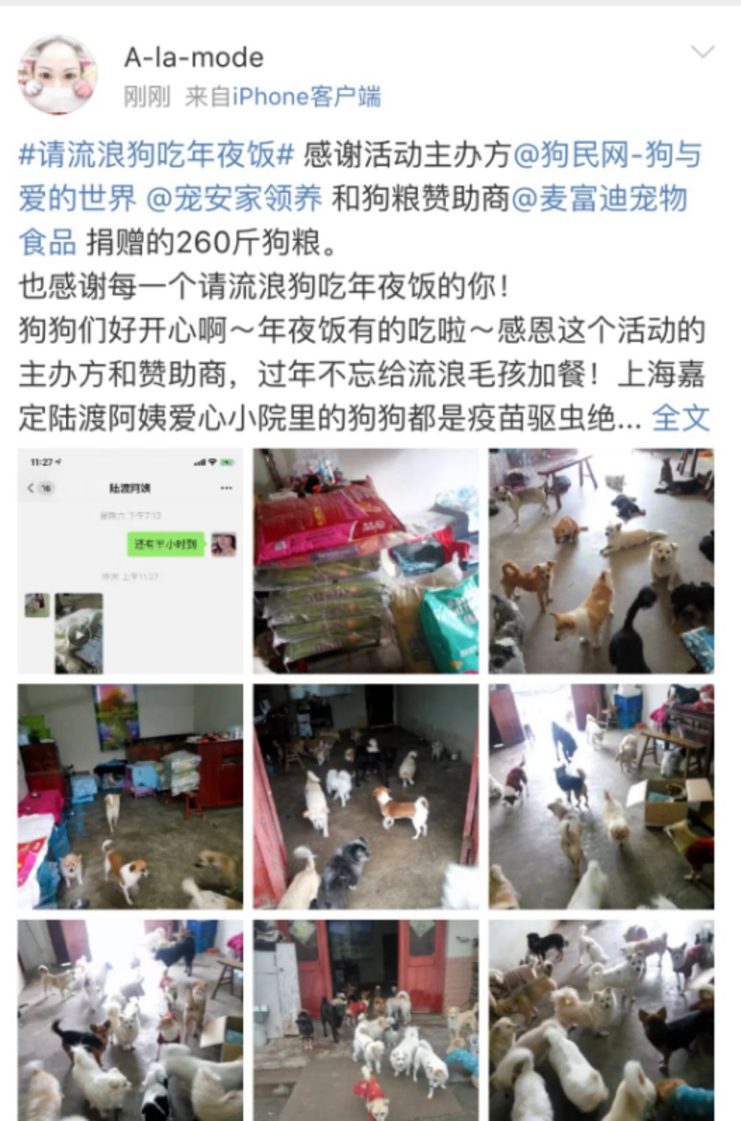狗年的最后一天，请它吃一顿年夜饭。-21.jpeg