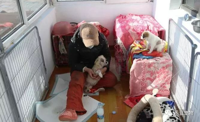 柔弱的女人撑起三百只生命的家，需要的不仅仅是勇气！-4.jpeg