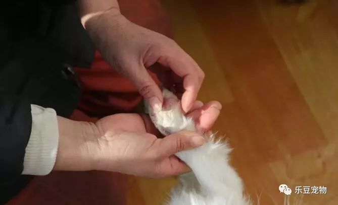 柔弱的女人撑起三百只生命的家，需要的不仅仅是勇气！-5.jpeg