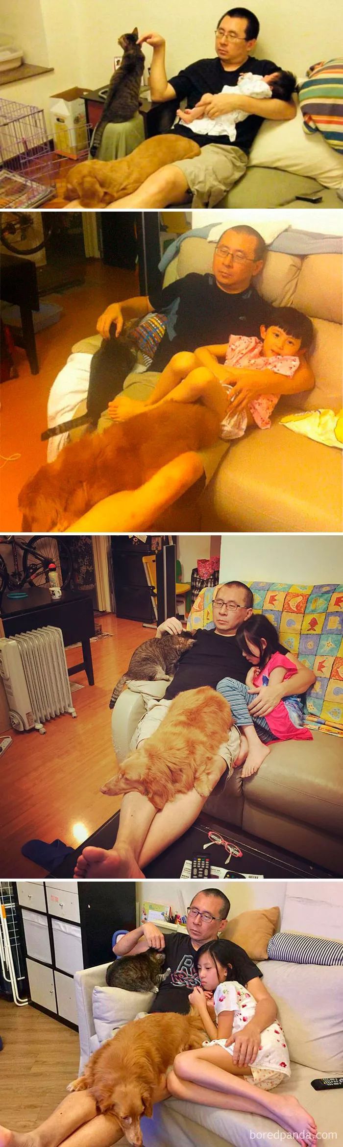 养了只奶汪，可九个月后，它长成了一头熊...-27.jpeg