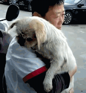 突然见到丢失八年的狗狗，女子痛哭：它一辈子都是找我……-7.gif