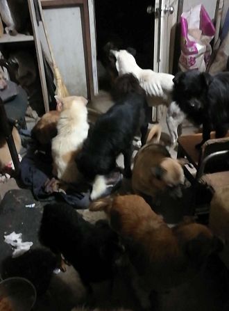 因为瘫痪，它被主人扔在零下室外，获救后狗宝宝流泪模样让人感动...-13.jpeg