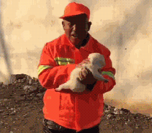 环卫大爷捡了只小奶狗，掏出仅有的五十元：钱给你，收养它好吗？-6.gif