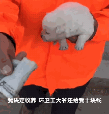 环卫大爷捡了只小奶狗，掏出仅有的五十元：钱给你，收养它好吗？-3.gif