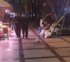 不小心踩到狗子后，老妈：别踩我孩子，你个狗东西！-3.gif