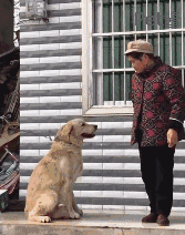 不小心踩到狗子后，老妈：别踩我孩子，你个狗东西！-8.gif