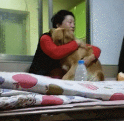 不小心踩到狗子后，老妈：别踩我孩子，你个狗东西！-10.gif