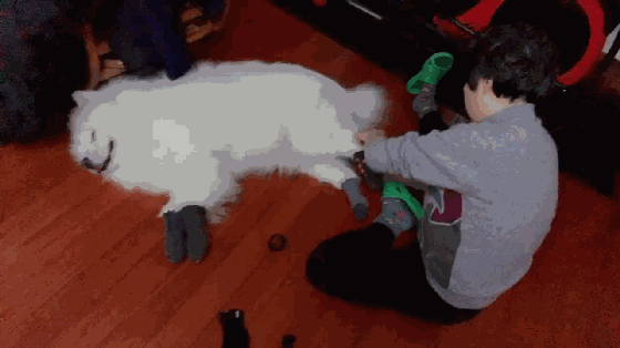 不小心踩到狗子后，老妈：别踩我孩子，你个狗东西！-12.gif