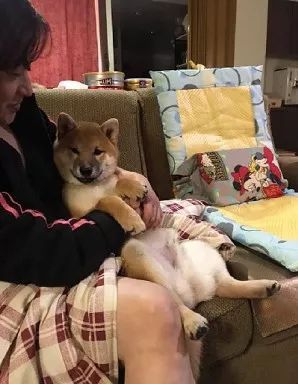 不小心踩到狗子后，老妈：别踩我孩子，你个狗东西！-15.jpeg
