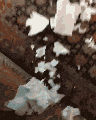 有时候根本分不清，我养的是狗，还是祖宗！-1.gif
