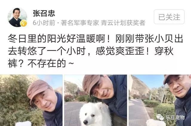 名人不爱狗？看看将军张召忠老爷子是怎么爱狗的！-4.jpeg