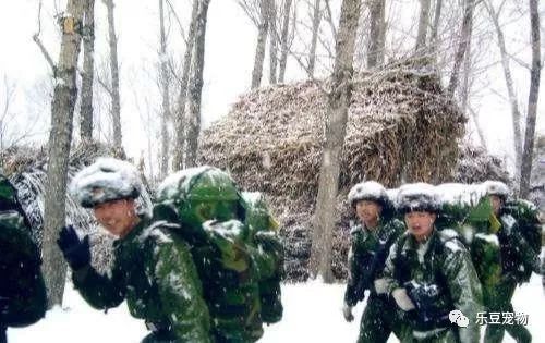 名人不爱狗？看看将军张召忠老爷子是怎么爱狗的！-2.jpeg