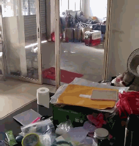 主人很惊讶，狗狗进门时竟没撞上玻璃门，结果狗砸：行吧，满足你！-1.gif