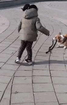 柯基？这明明是傻不拉基！-15.gif