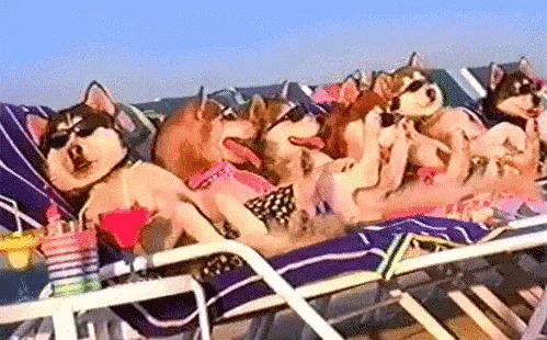 过年期间，这件事不得不防-3.gif