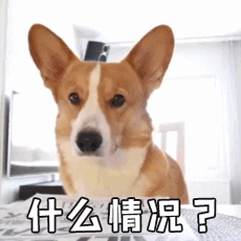 过年期间，这件事不得不防-5.gif