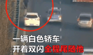 老人高速上遛狗，陌生女司机默默尾随“守护”！-2.gif