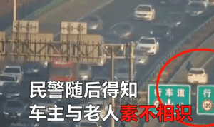 老人高速上遛狗，陌生女司机默默尾随“守护”！-3.gif