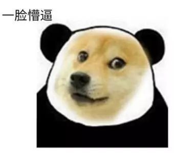 我把狗当孩子养，怎么了？-4.jpeg