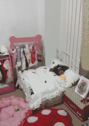 我把狗当孩子养，怎么了？-1.gif
