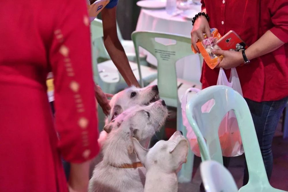 为庆祝走失爱犬顺利找回，大叔连摆三天流水席：随便吃！-4.jpeg