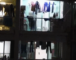 男子当街暴打金毛：我还没站稳你就敢动？-5.gif