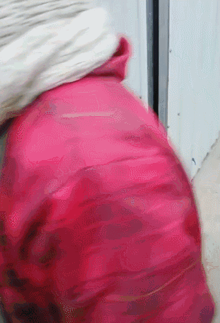 超市门口放了一筐小狗，写着：谁要谁拿……-1.gif