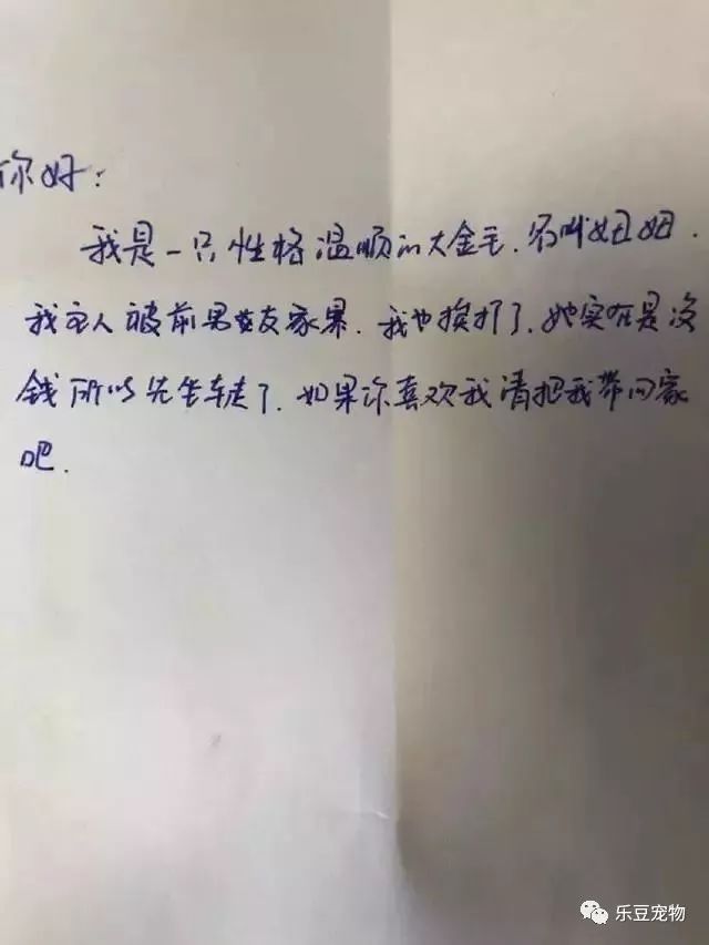 汽车站遇到只被抛弃的金毛，但这次我选择原谅它的原主人！-2.jpeg