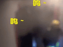 居民楼起火，网友纷纷怀疑二哈，二哈：真的不是我......-2.gif