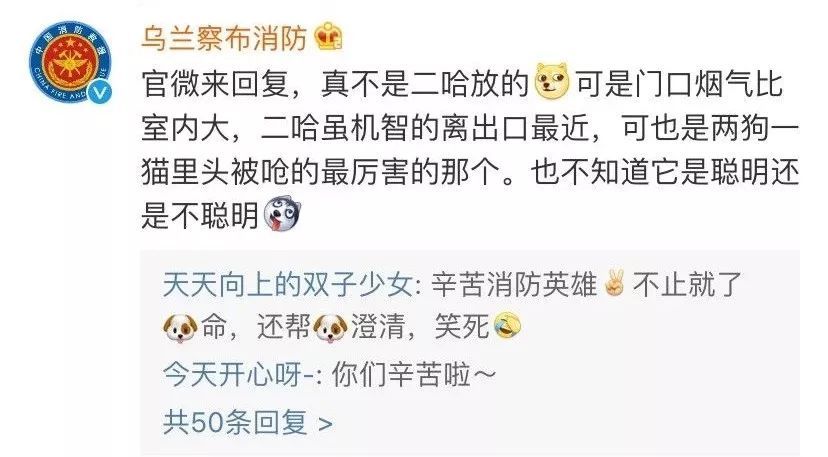 居民楼起火，网友纷纷怀疑二哈，二哈：真的不是我......-5.jpeg